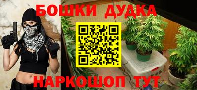 сатива Бузулук