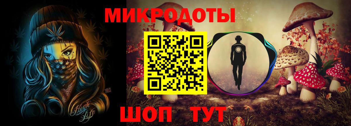 Галлюциногенные грибы Psilocybine cubensis Югорск